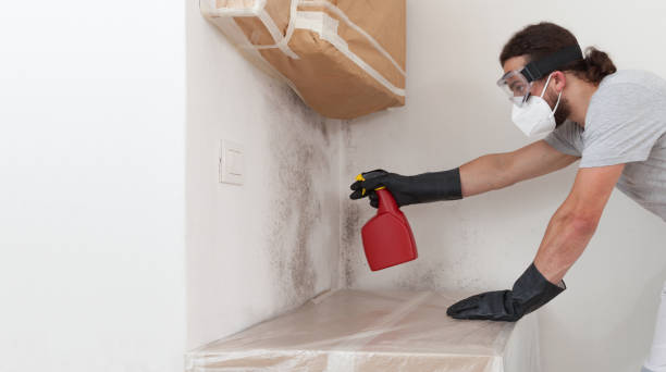 Professional Mold Removal technician working in Hamilton, VA