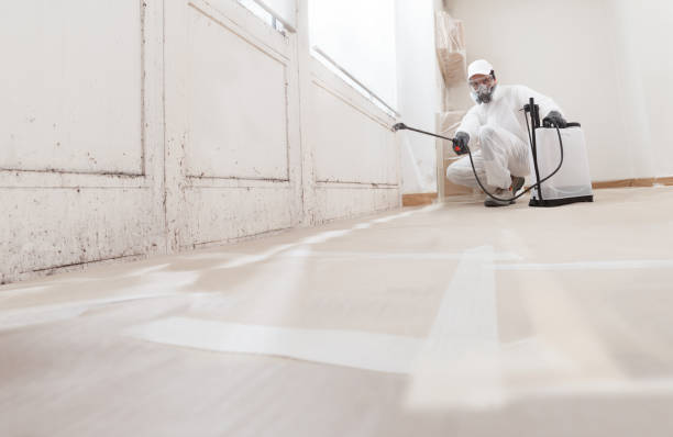 24/7 Emergency Mold Removal experts in Hamilton, VA
